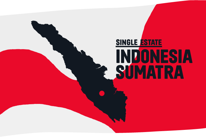 Indonesia Sumatra Συσκευασμένος 200γρ