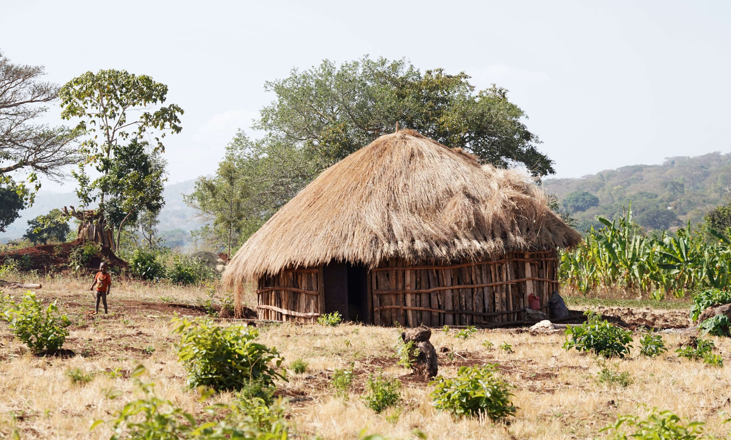 ΔΟΚΙΜΑΖΟΝΤΑΣ ΤΟΝ SINGLE ESTATE ETHIOPIA GUJI ΜΟΙΡΑΖΕΣΑΙ ΤΟ ΟΡΑΜΑ ΕΝΟΣ ΚΑΛΥΤΕΡΟΥ ΚΟΣΜΟΥ